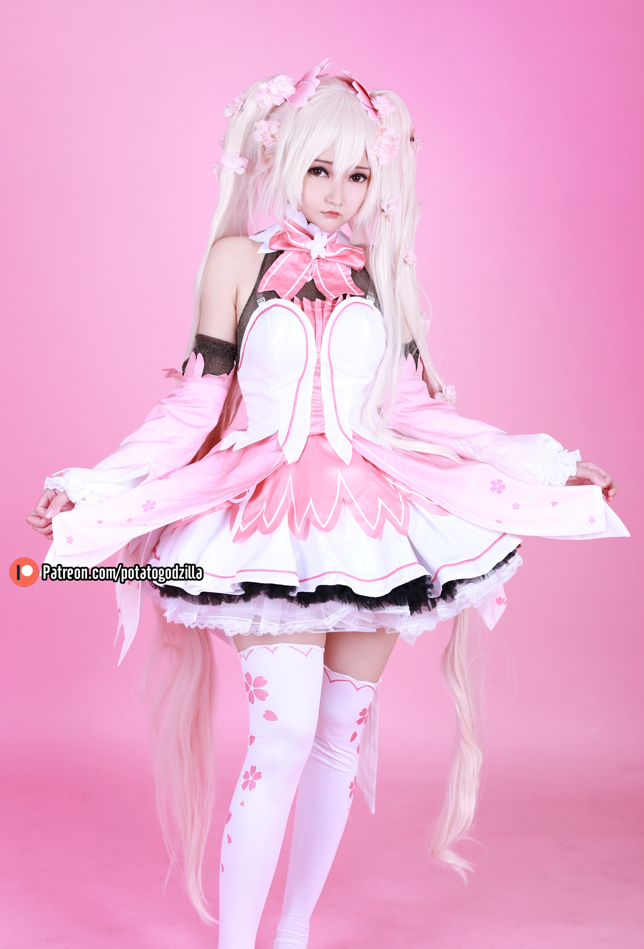 图片[1]-Potato Godzilla – NO.023 Sakura Miku [48P]-XikXak